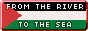 a button that says 'from the river to the sea, free palestine' with a palestine flag as the background